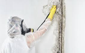 Best HVAC Mold Inspection and Cleaning  in Rosedale, CA